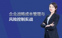 企業(yè)戰(zhàn)略成本管理與風(fēng)險控制實戰(zhàn)